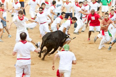 Pamplona, İspanya - Temmuz 10: insanlar genç boğa ile eğleniyor
