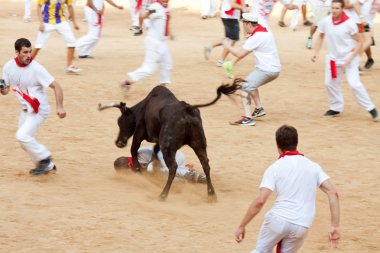 Pamplona, İspanya - Temmuz 10: insanlar genç boğa ile eğleniyor