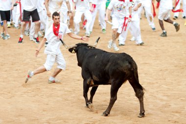 Pamplona, İspanya - Temmuz 10: insanlar genç boğa ile eğleniyor