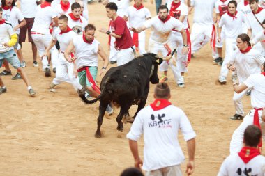 Pamplona, İspanya - Temmuz 10: insanlar genç boğa ile eğleniyor