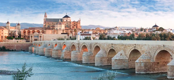 Roman Bridge and Guadalquivir river, Great Mosque, Cordoba, Spai — Stock Photo, Image