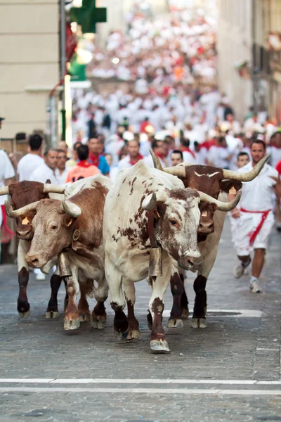 潘普洛纳，西班牙 — — 七月九日： 人们从公牛跑在大街上 — 图库照片