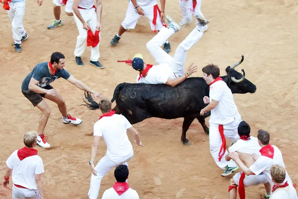 PAMPLONA, ESPAGNE - 9 JUILLET : Les gens qui s'amusent avec des jeunes taureaux à — Photo