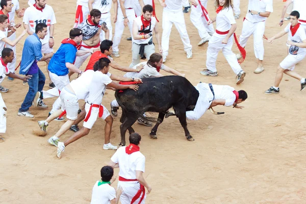 PAMPLONA, ESPAÑA - 9 DE JULIO: La gente se divierte con toros jóvenes en —  Fotos de Stock