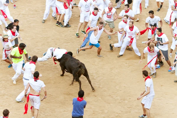 PAMPLONA, SPAIN - JULY 9: People having fun with young bulls at — Stock Photo, Image