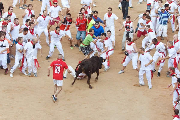 PAMPLONA, ESPAÑA - 9 DE JULIO: La gente se divierte con toros jóvenes en —  Fotos de Stock