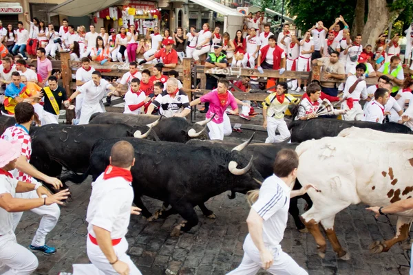 Pamplona, Spanien-juli 10: folk springa från tjurar på gatan under — Stockfoto