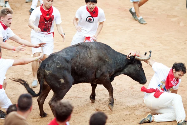 PAMPLONA, ESPAÑA - 10 DE JULIO: La gente se divierte con toros jóvenes en —  Fotos de Stock