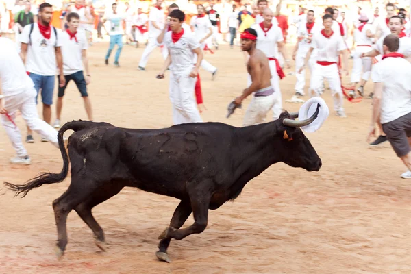 PAMPLONA, ESPAGNE - 11 JUILLET : Les gens qui s'amusent avec des jeunes taureaux à — Photo