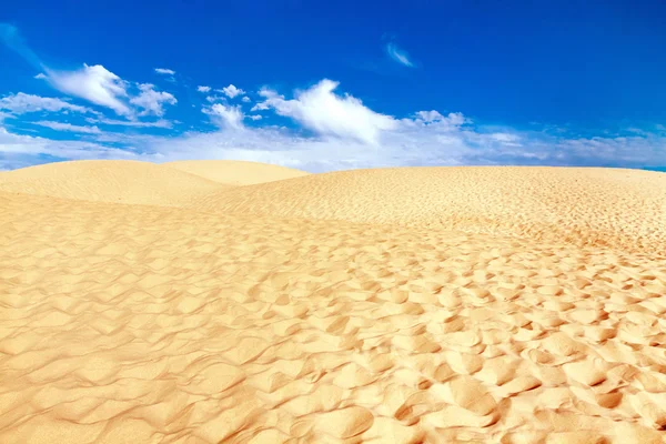 Dune bolonia, il cadiz, Endülüs, İspanya — Stok fotoğraf