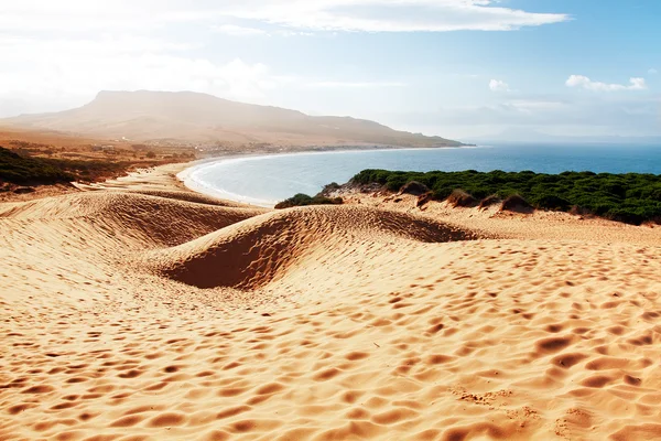 Písečné duny městě bolonia beach, provincie Cádiz, Andalusie, páteř — Stock fotografie