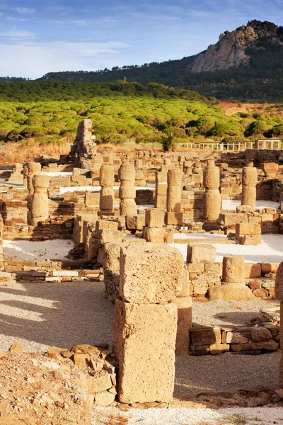 Ruinas romanas de "Baelo Claudia" en la playa "Bolonia", provincia Cad —  Fotos de Stock