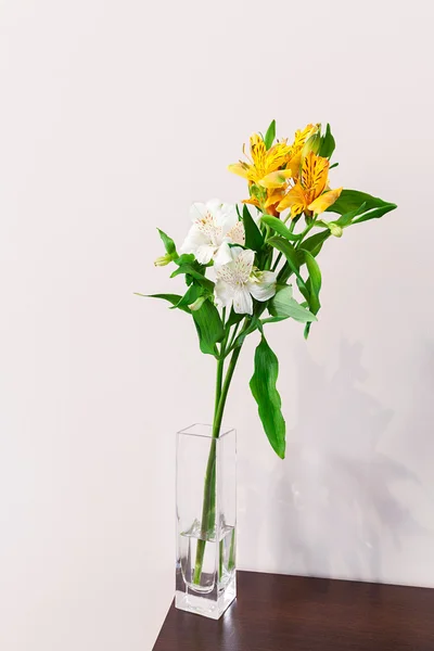 Kwiat w wazonie — Zdjęcie stockowe