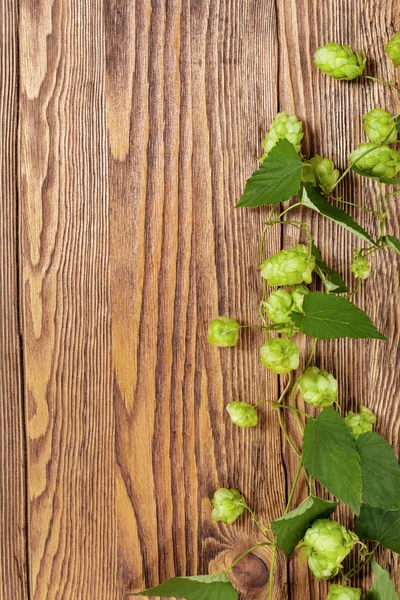 Hop plant on a wooden table — Stock Photo, Image
