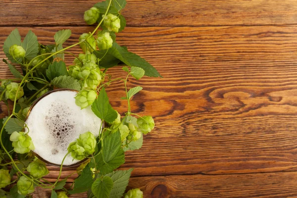 Pint and hop plant — Stock Photo, Image