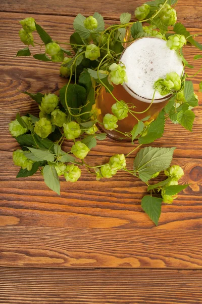 Pint and hop plant — Stock Photo, Image