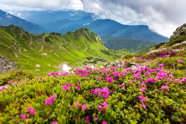 Montagne carpatiche — Foto Stock