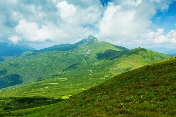 Карпатские горы — стоковое фото