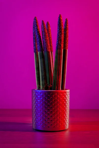 Impianto di casa decorativo - Sansevieria cilinddrica su una pentola su sfondo magenta scuro — Foto Stock