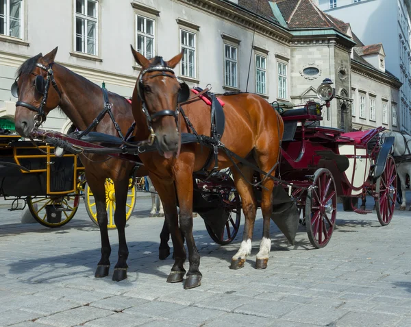 Horse-drawn Carriage in Vienna — Stock Photo, Image