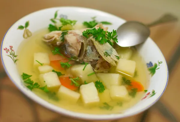 Russische Fischsuppe — Stockfoto