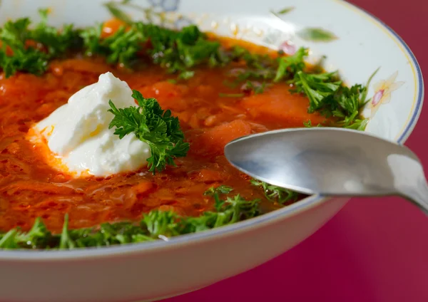 Borsch — Stock Photo, Image