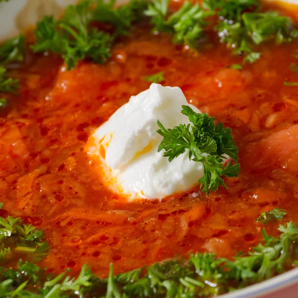 Borsch. — Fotografia de Stock