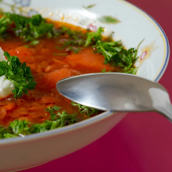 Borsch. — Fotografia de Stock