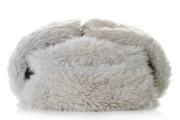 Fur Hat — Stock Photo, Image