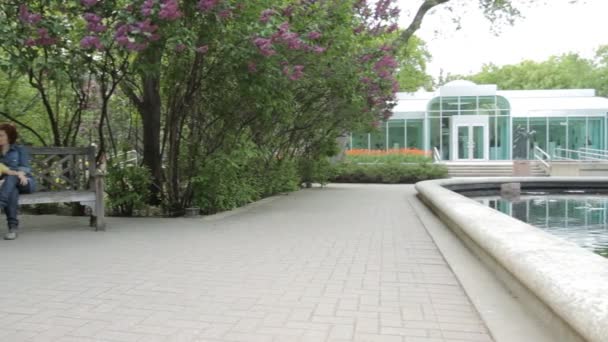 Mujer en el parque — Vídeos de Stock