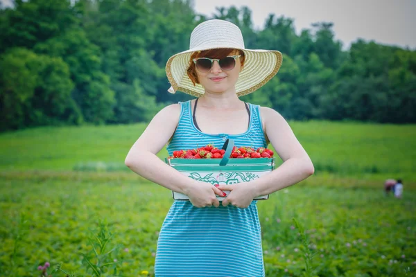 Picking strawberries — Stock Photo, Image