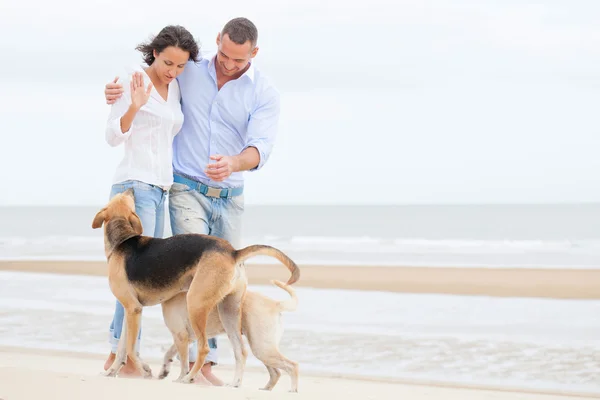 Mutlu bir çift sahilde köpeklerle portresi — Stok fotoğraf