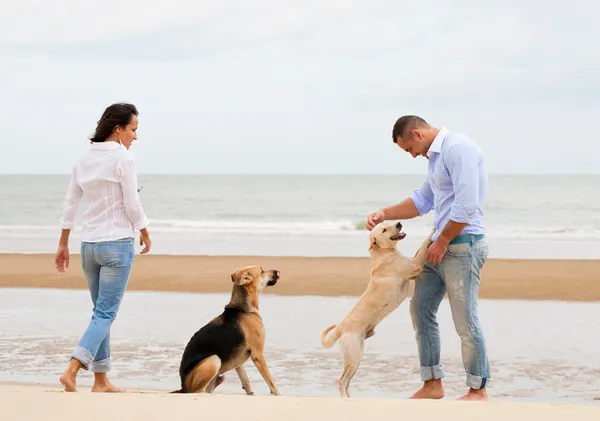 对幸福的夫妻与狗在沙滩上的肖像 — 图库照片