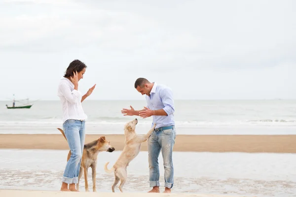 Mutlu bir çift sahilde köpeklerle portresi — Stok fotoğraf