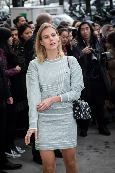 ジョアンナ スタイン ビルマン アレクサンデル ビルマン2016年3月8日 フランス パリで開催されたパリ ファッションウィークのウィメンズウェア フェスティバルに アレクサンドル — ストック写真