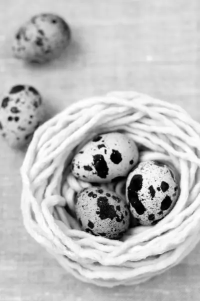 Trois œufs de caille dans le nid avec le fil — Photo