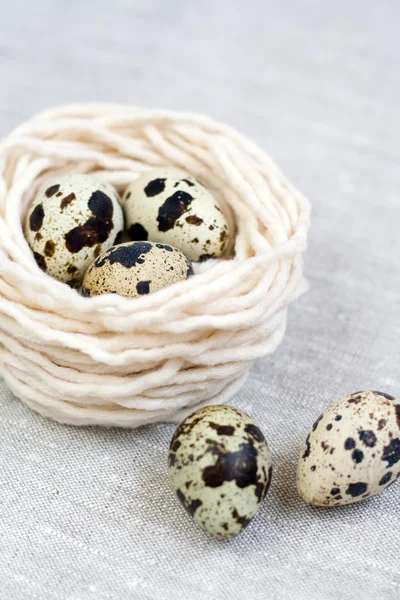 Trois œufs de caille dans le nid avec le fil — Photo