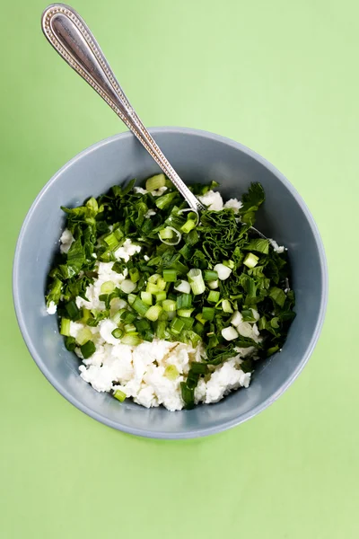 Quark und frische Kräuter für die Ernährung — Stockfoto