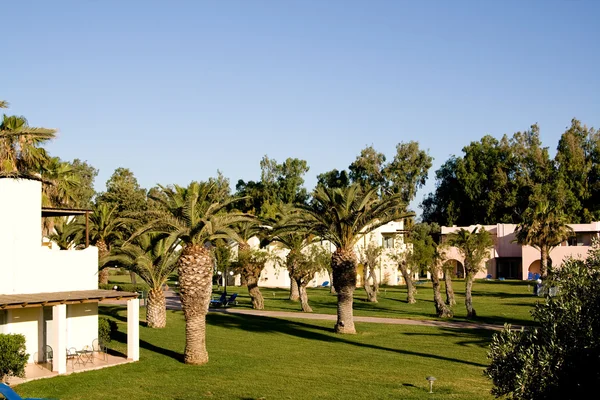 Palme ed erba verde sullo sfondo del mare e delle montagne, Peloponneso, Grecia . — Foto Stock