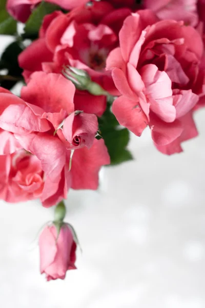 Bouquet of pink roses in a glass vase on a white background — Stock Photo, Image