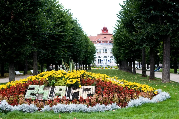 Un parterre de fleurs avec des fleurs au centre d'une ville européenne — Photo