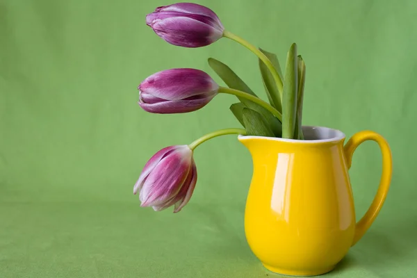 Bouquet délicat de tulipes violettes dans une cruche jaune — Photo