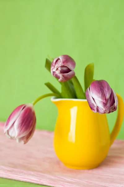 Bouquet délicat de tulipes violettes dans une cruche jaune — Photo
