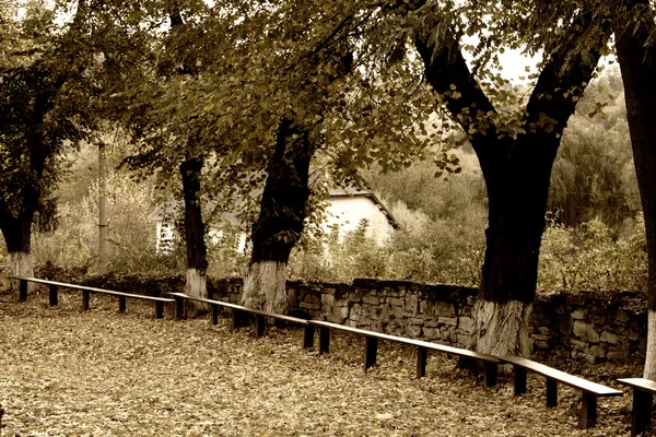 Őszi park, vintage stílusú fotó padok. — Stock Fotó