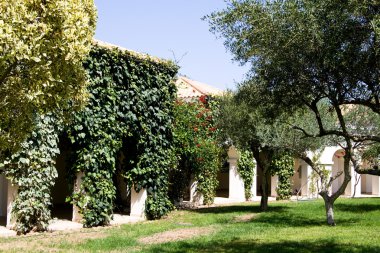 ağaçlar ve asmalar, evin girişine örgülü