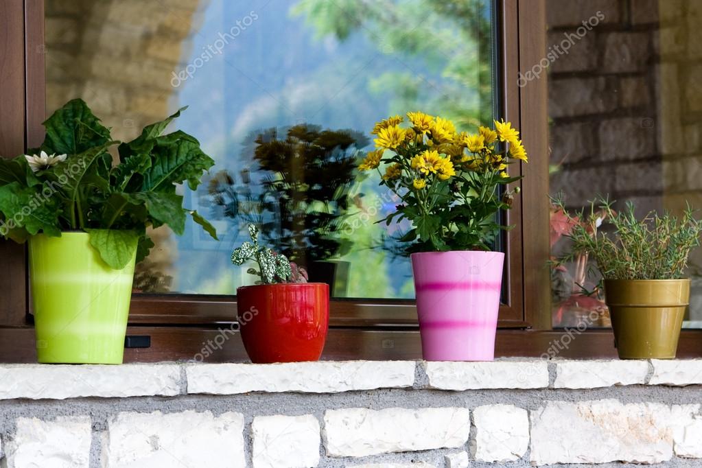 Multi-colored flower pots on the windowsill
