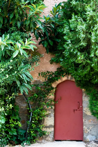 A pequena porta vermelha e um monte de plantas verdes — Fotografia de Stock