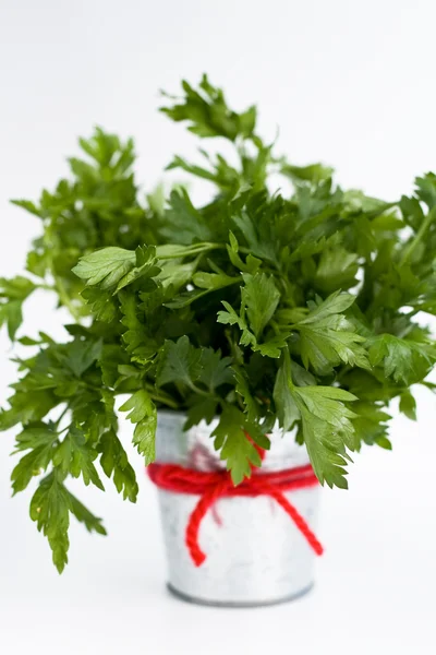 As folhas perfumadas de salsa é um pequeno balde de ferro — Fotografia de Stock