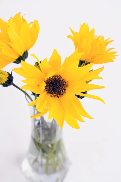 Vase en verre transparent avec des fleurs jaunes sur un fond clair — Photo