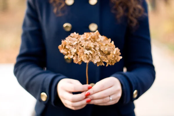 Ung vacker brunett hålla en torr hortensia blomma — Stockfoto